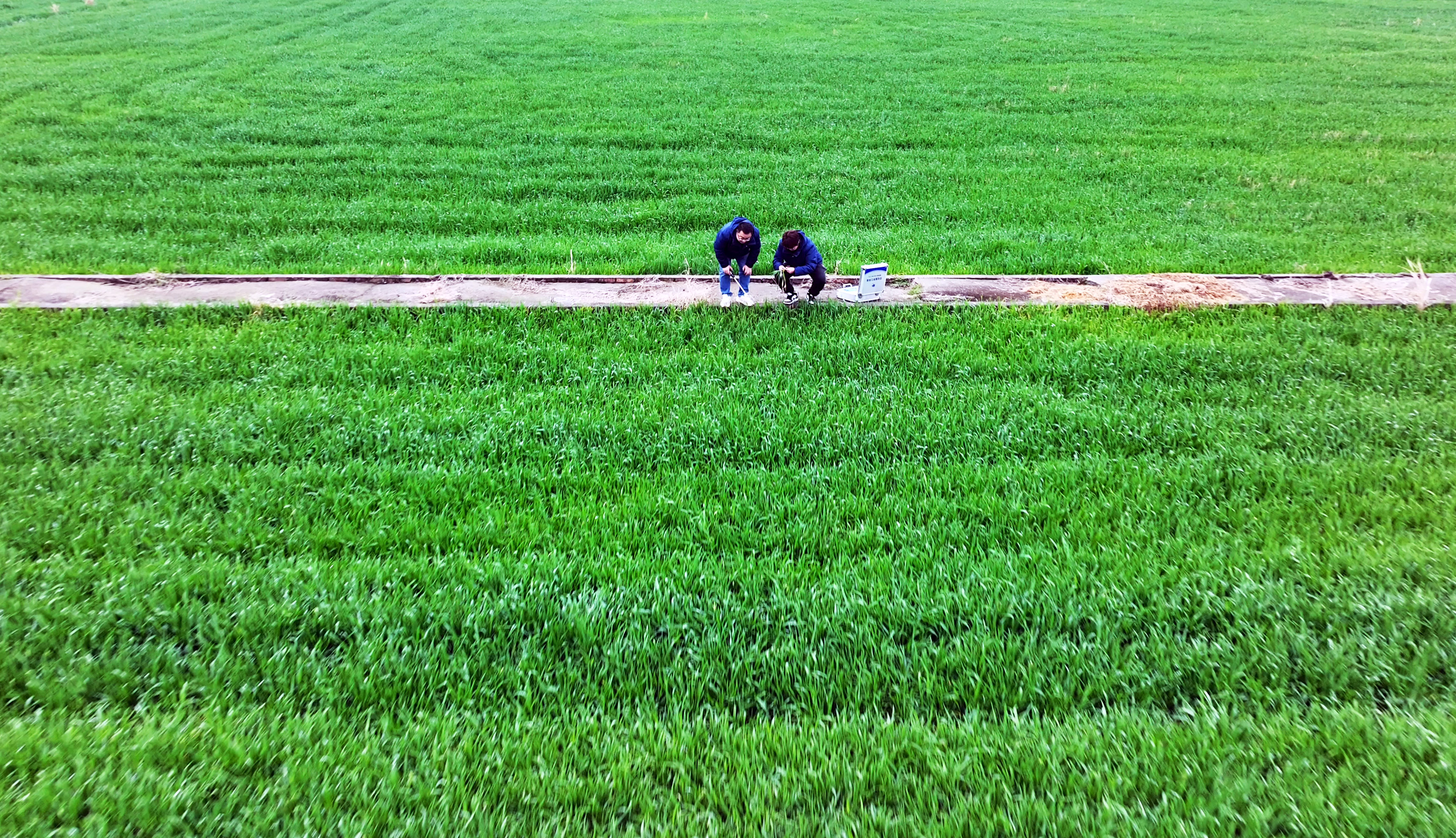 服務(wù)春耕：農(nóng)化服務(wù)當(dāng)先鋒添動力